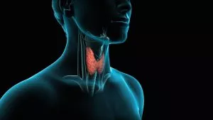 Tibetan exercise for the treatment of the thyroid gland
